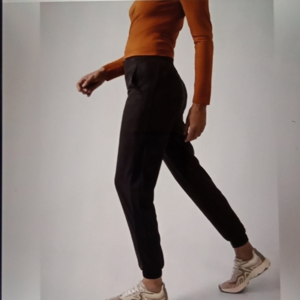 Athleta Brooklyn Textured Lined Jogger Womens 16 Outdoor Winter